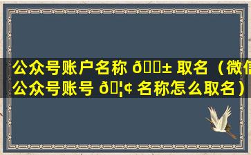 公众号账户名称 🐱 取名（微信公众号账号 🦢 名称怎么取名）